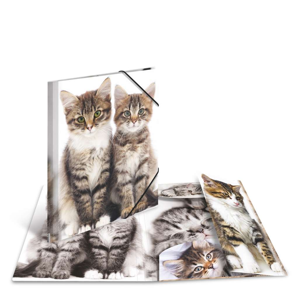 Zeichenmappe A4, Katzen (PP)