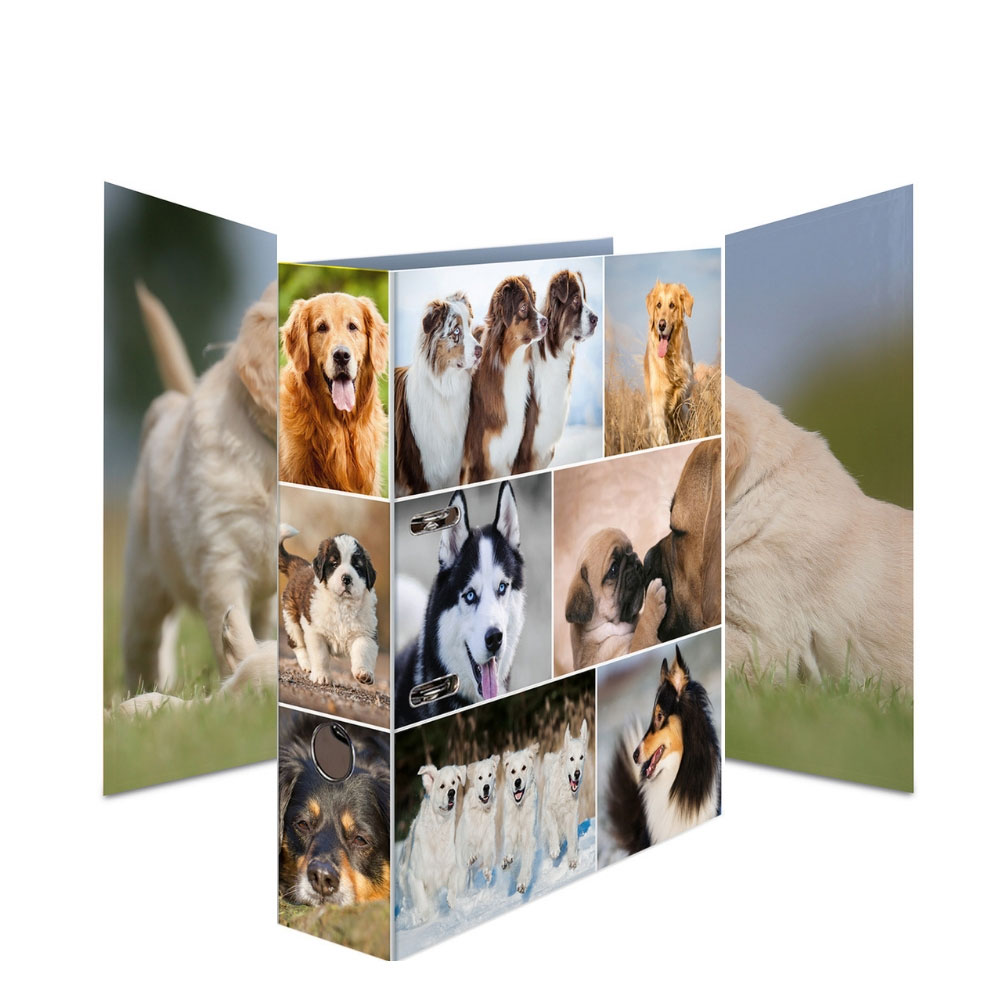 Ordner Tiere: Hunde