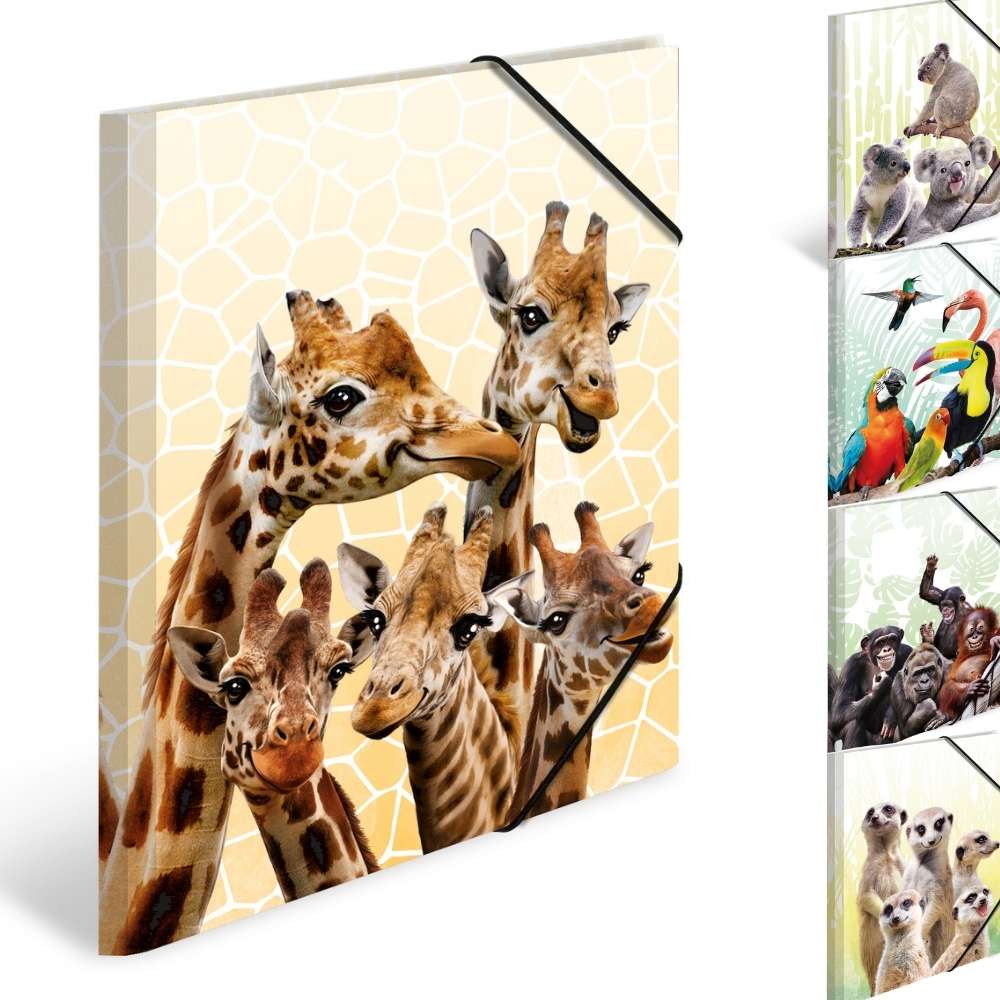 Herma Sammelmappe A3, exotische Tiere, verschiedene Motive, PP