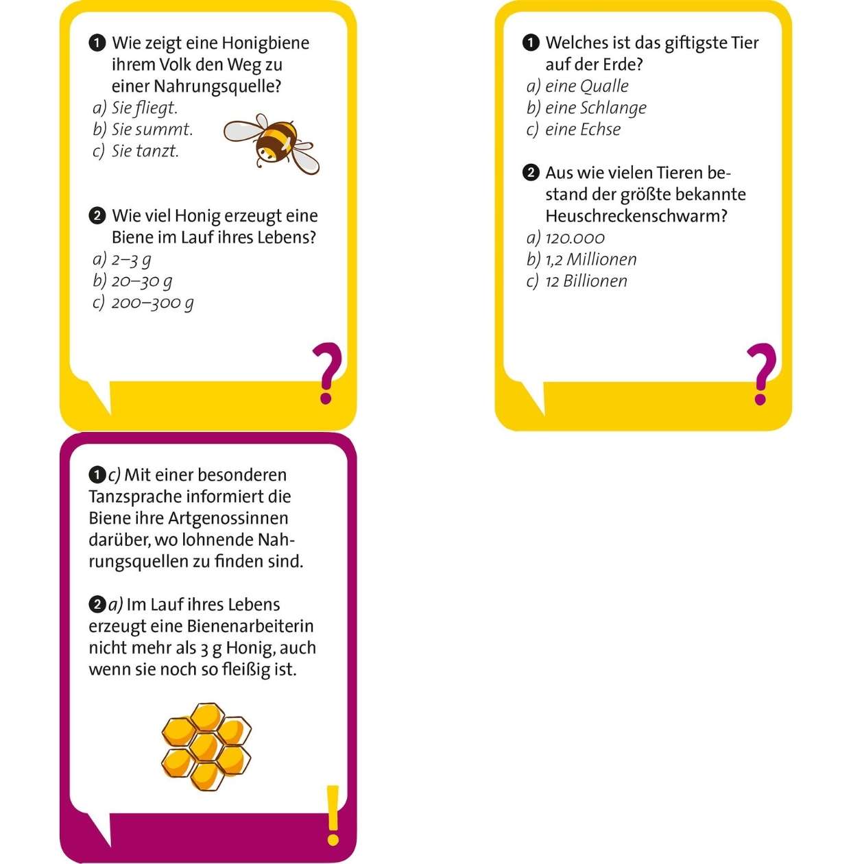 Pocket Quiz junior Unglaublich, aber wahr