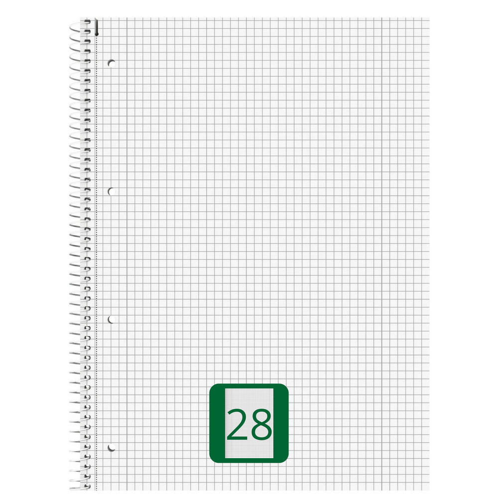 Collegeblock kariert, Lineatur 28, 80 Blatt