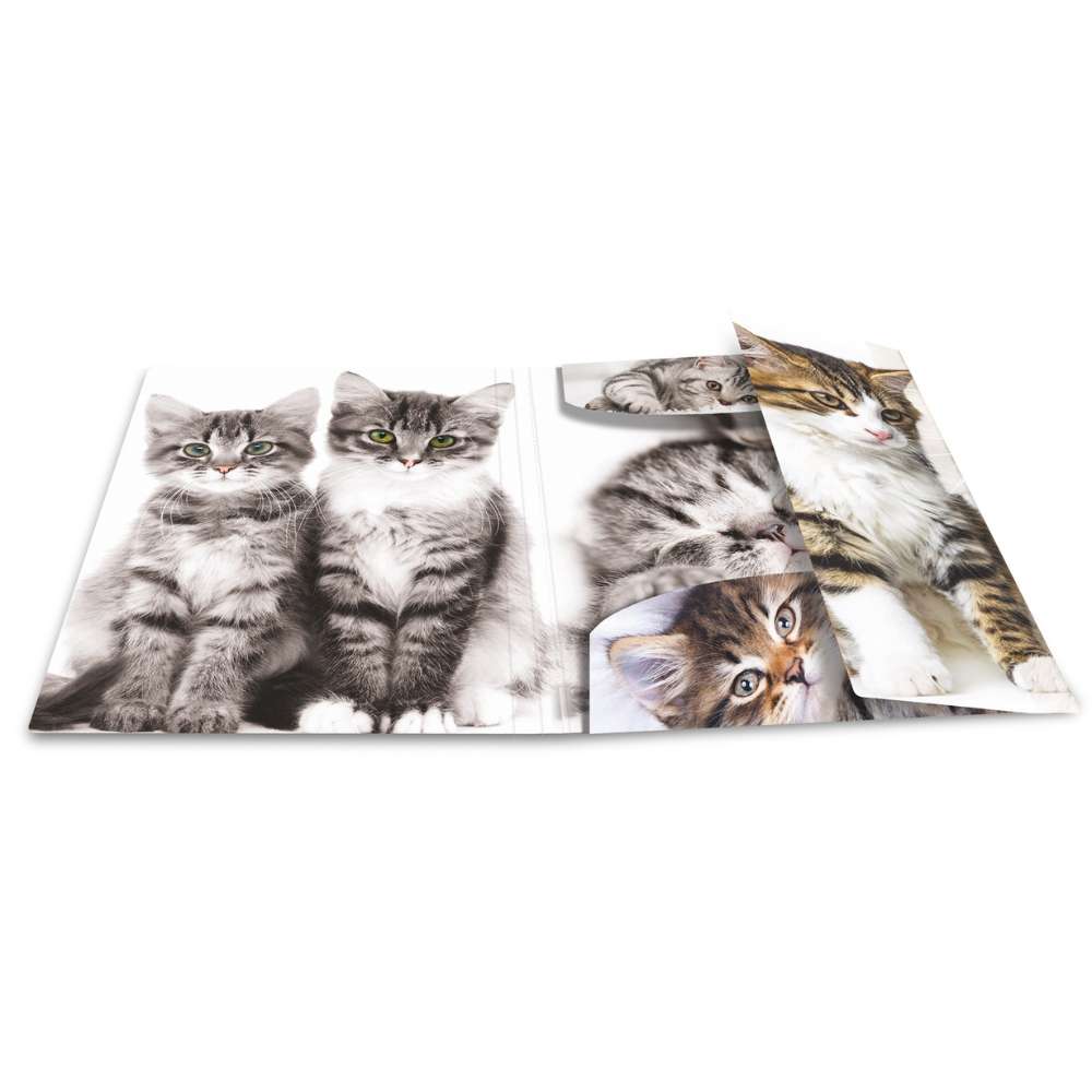 Zeichenmappe A3, Katzen (PP)