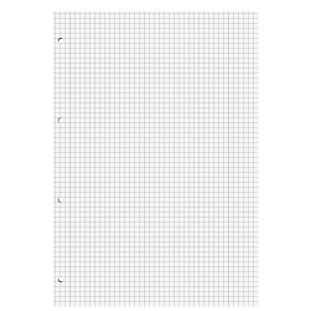Schulblock kariert mit Doppelrand, gelocht (A4, Lineatur 28, Herlitz)