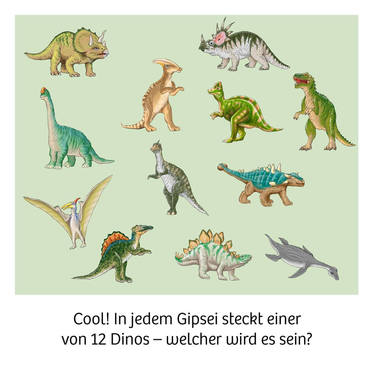 Kosmos Dino-Ei Ausgrabungsset: sortiert