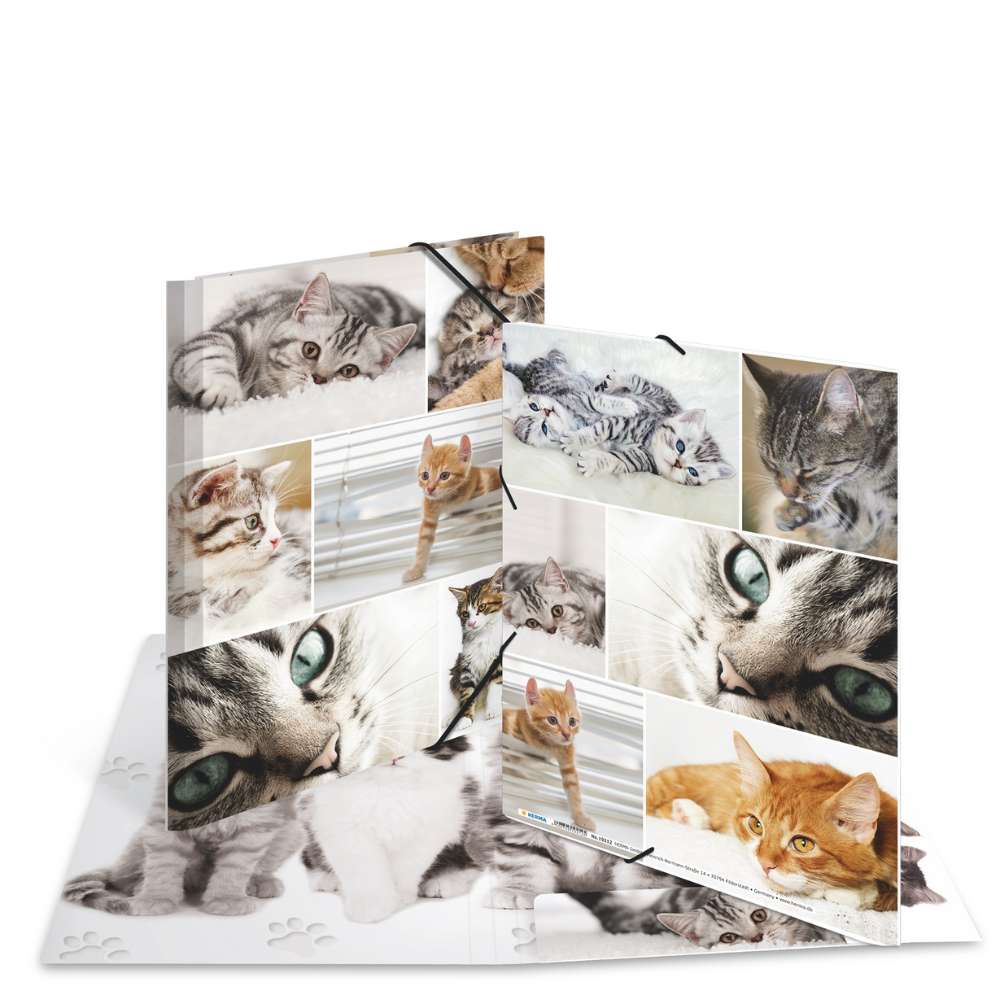 Kartonmappe A4, Katzen