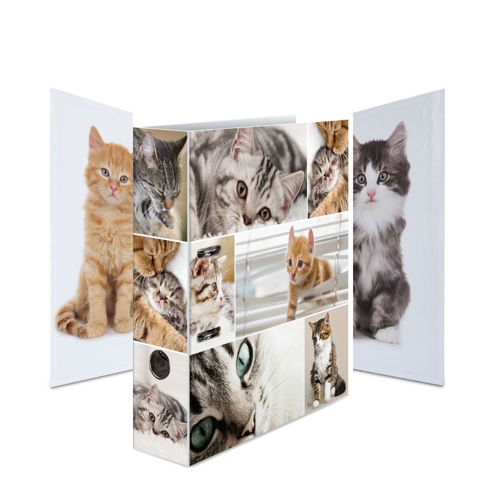 Ordner Tiere: Katzen