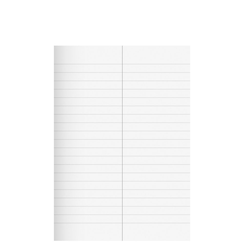 Zweispaltiges Vokabelheft, Lineatur 53, Herlitz