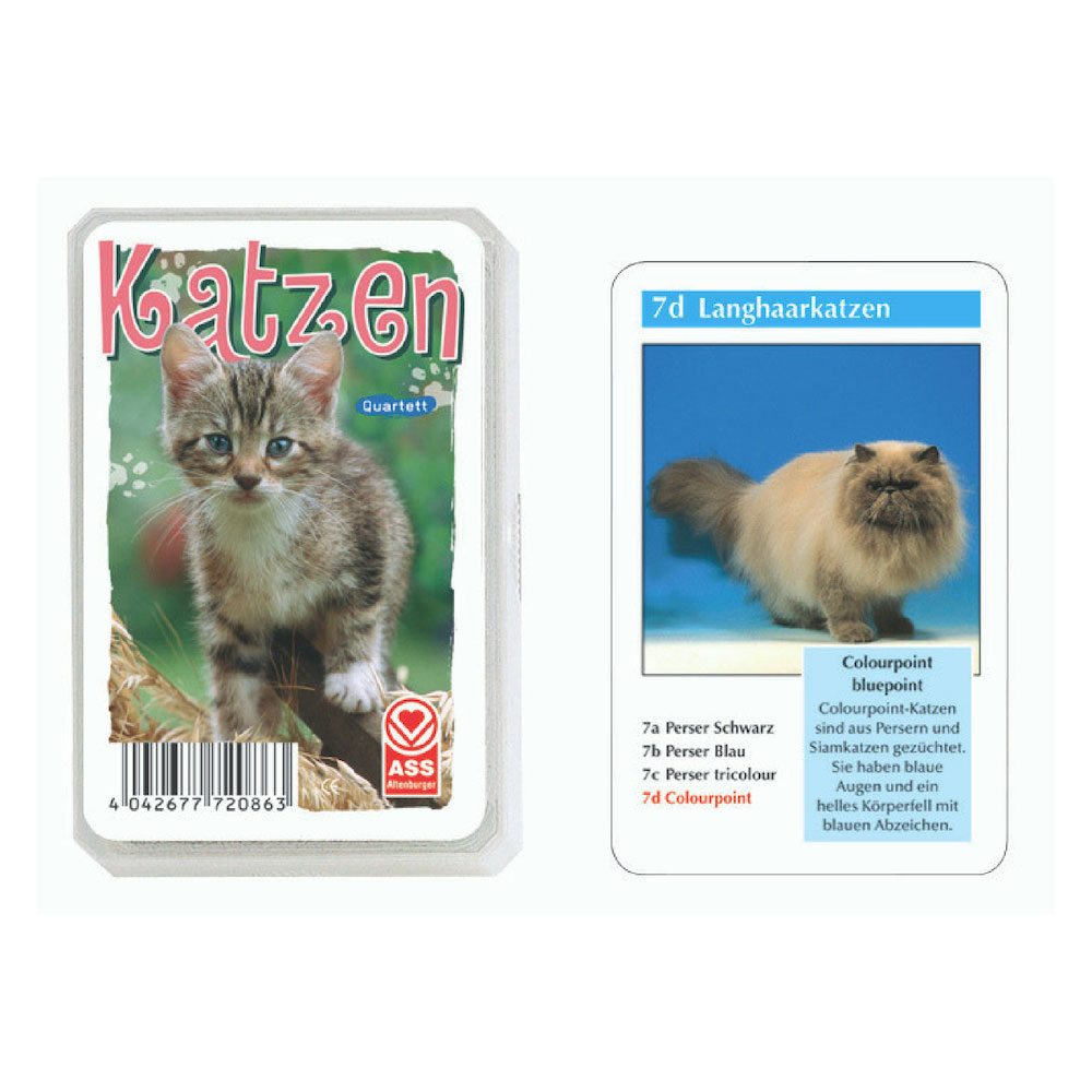 Quartett Tiere: Katzen