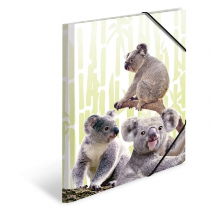 Herma Sammelmappe A3, exotische Tiere, Koala