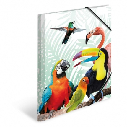 Herma Sammelmappe A3, exotische Tiere, Papagei